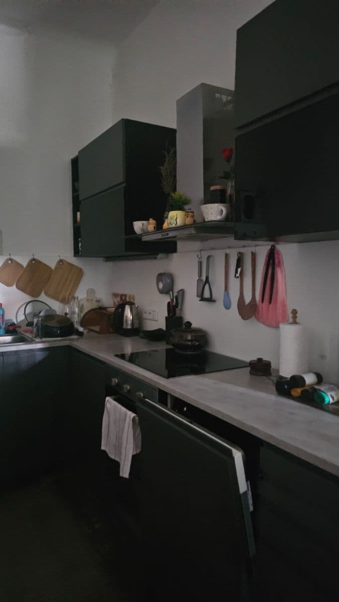 Pronájem bytu 1+kk 43 m², Plzeňská, Králův Dvůr, Středočeský kraj Pronájem bytu 1+kk 43 m², Plzeňská, Králův Dvůr, Středočeský kraj