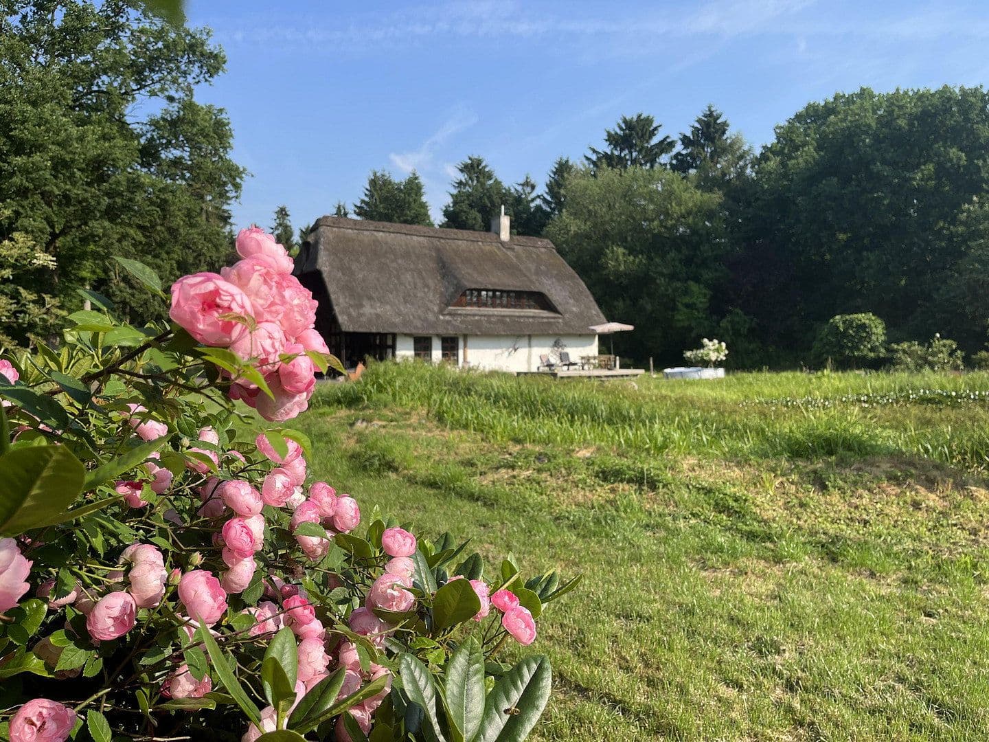 Prodej domu 200 m², pozemek 5.100 m², Dahldorfer Str. 27, Gnarrenburg, Dolní Sasko Prodej domu 200 m², pozemek 5.100 m², Dahldorfer Str. 27, Gnarrenburg, Dolní Sasko