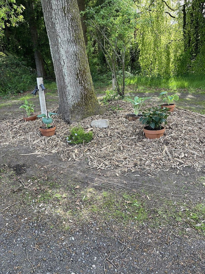 Prodej domu 200 m², pozemek 5.100 m², Dahldorfer Str. 27, Gnarrenburg, Dolní Sasko Prodej domu 200 m², pozemek 5.100 m², Dahldorfer Str. 27, Gnarrenburg, Dolní Sasko