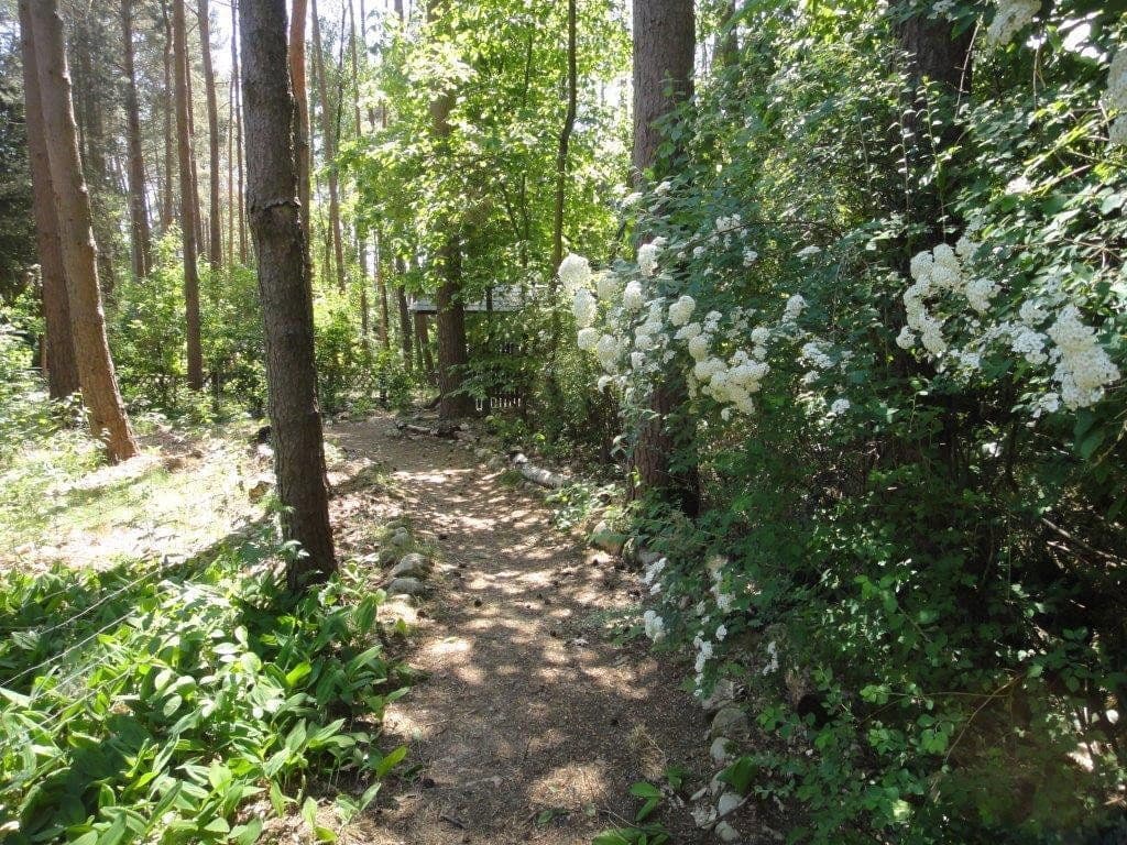 Prodej domu 110 m², pozemek 2.600 m², Hitzacker (Elbe), Dolní Sasko Prodej domu 110 m², pozemek 2.600 m², Hitzacker (Elbe), Dolní Sasko
