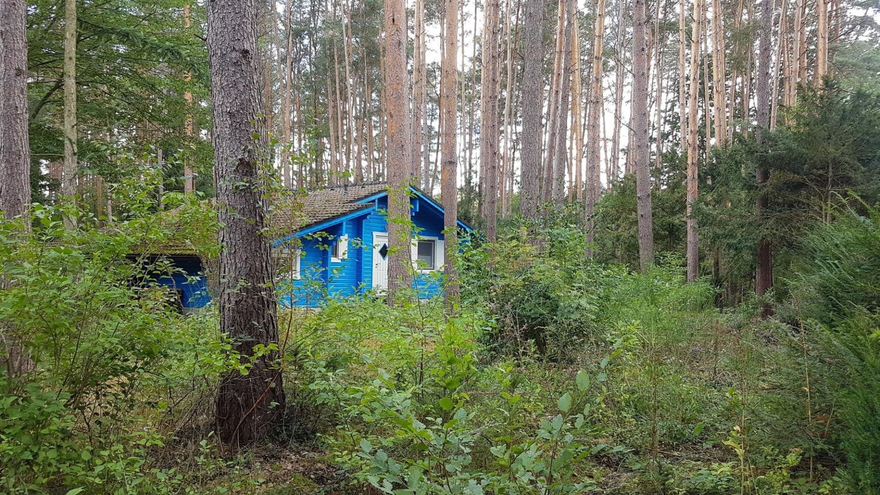 Prodej domu 110 m², pozemek 2.600 m², Hitzacker (Elbe), Dolní Sasko Prodej domu 110 m², pozemek 2.600 m², Hitzacker (Elbe), Dolní Sasko