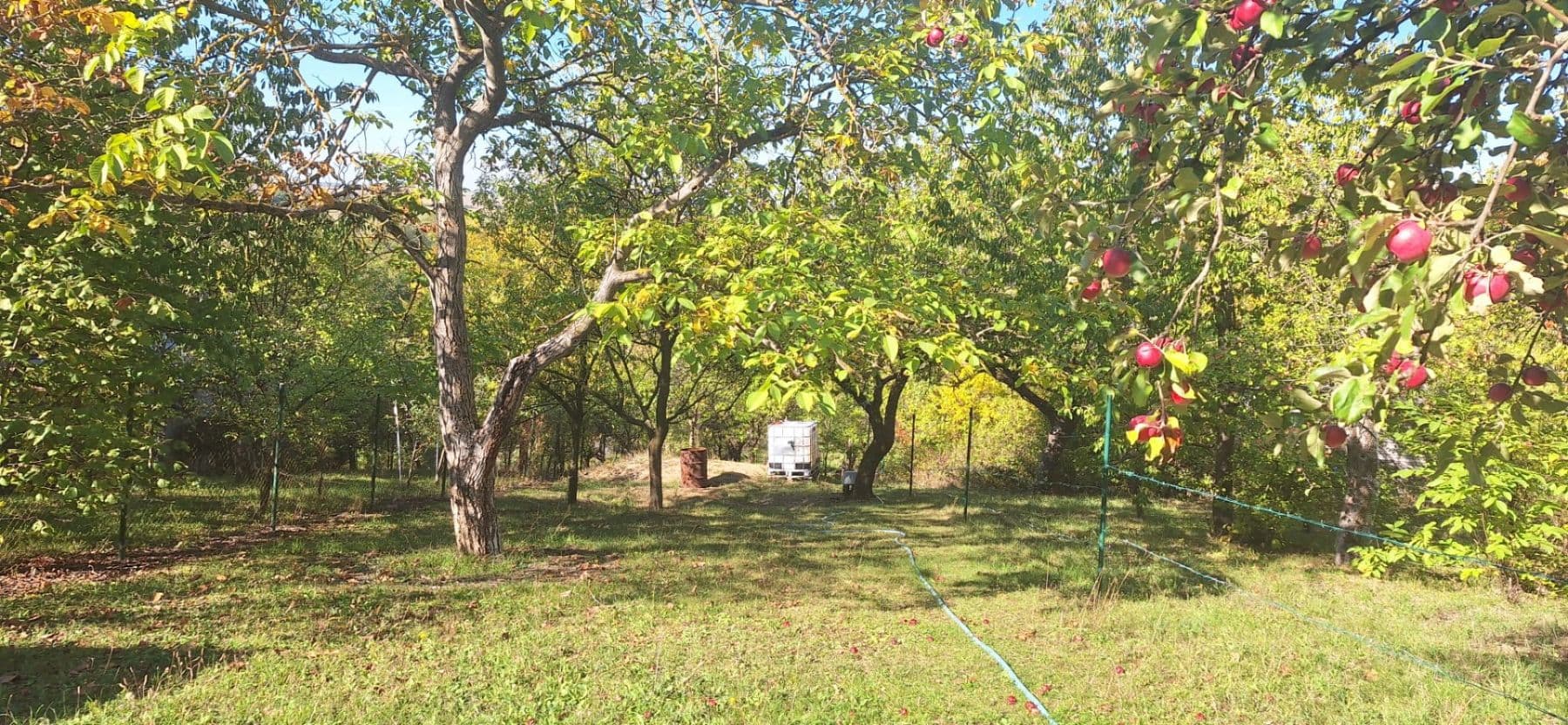 Prodej pozemku 1.623 m², Habrovany, Jihomoravský kraj Prodej pozemku 1.623 m², Habrovany, Jihomoravský kraj