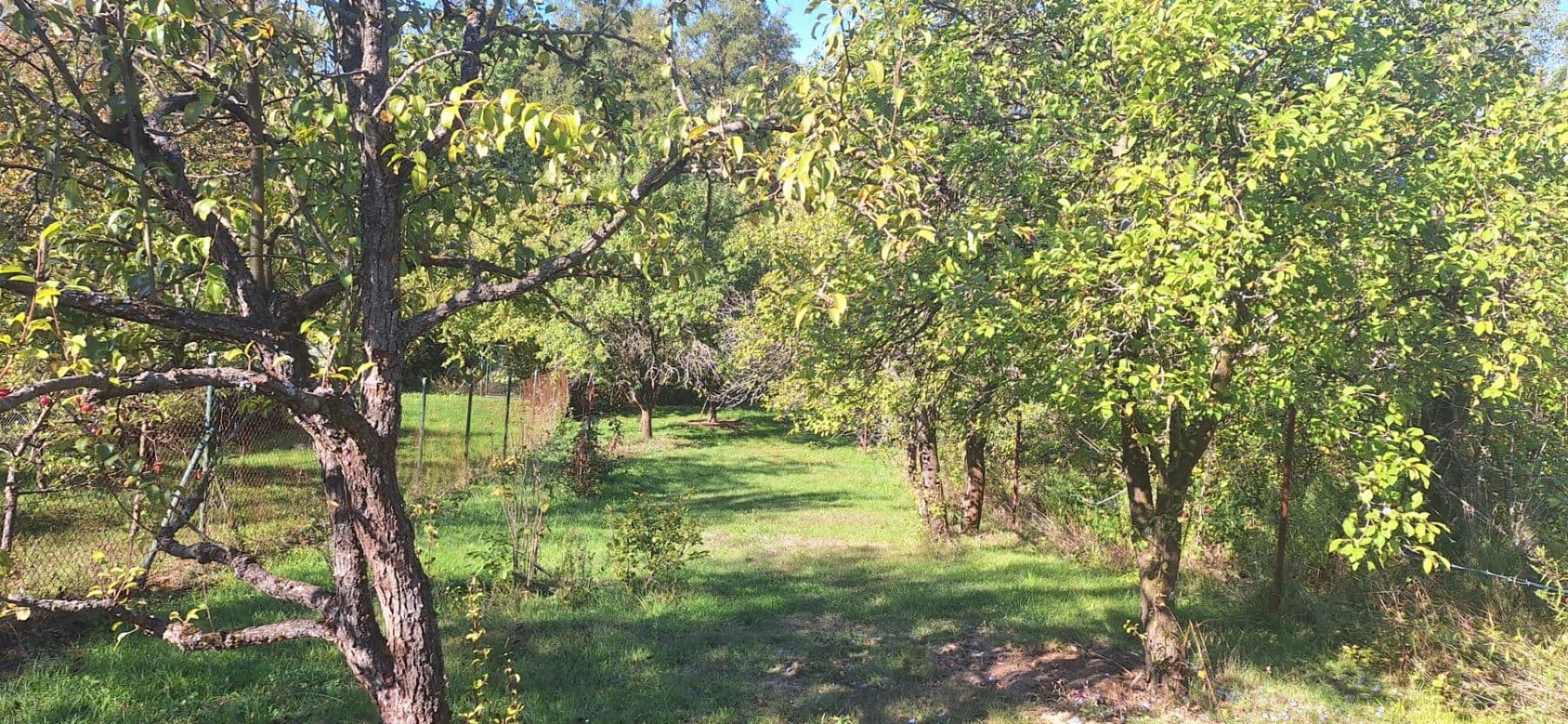 Prodej pozemku 1.623 m², Habrovany, Jihomoravský kraj Prodej pozemku 1.623 m², Habrovany, Jihomoravský kraj