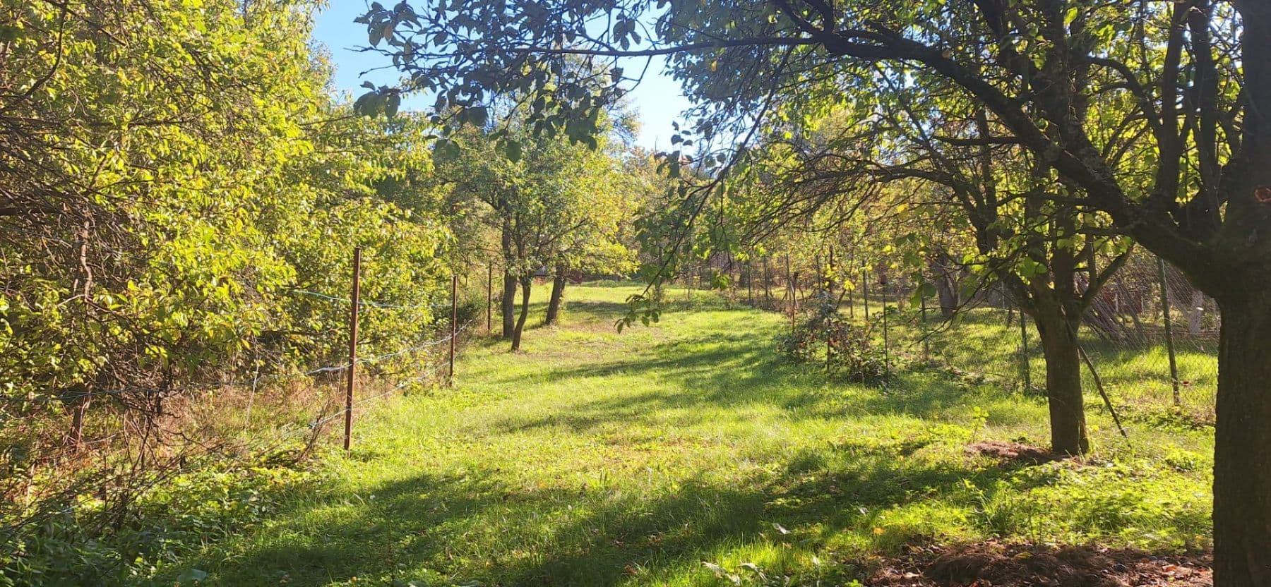 Prodej pozemku 1.623 m², Habrovany, Jihomoravský kraj Prodej pozemku 1.623 m², Habrovany, Jihomoravský kraj