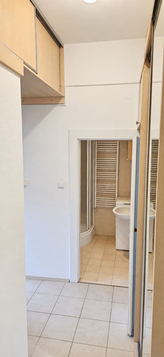 Pronájem bytu 2+kk 51 m², Davídkova, Praha, Praha Pronájem bytu 2+kk 51 m², Davídkova, Praha, Praha