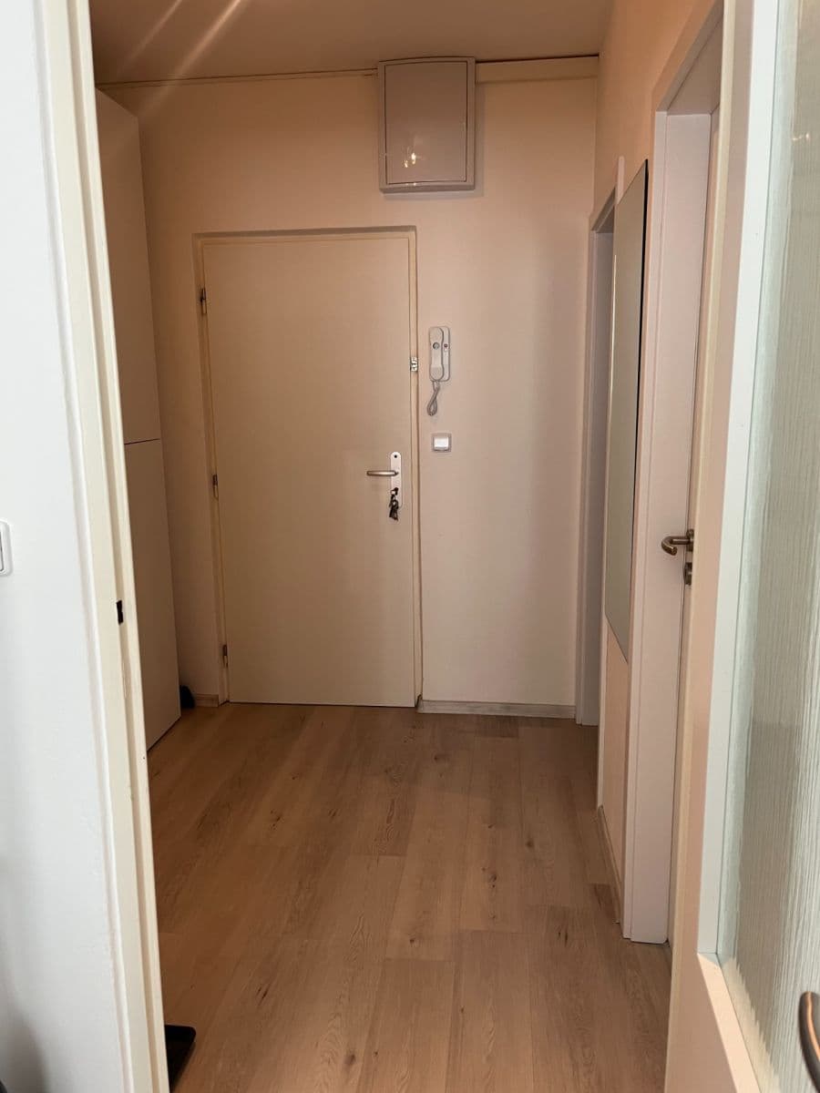 Pronájem bytu 1+kk 30 m², Kosíkova, Brno, Jihomoravský kraj Pronájem bytu 1+kk 30 m², Kosíkova, Brno, Jihomoravský kraj