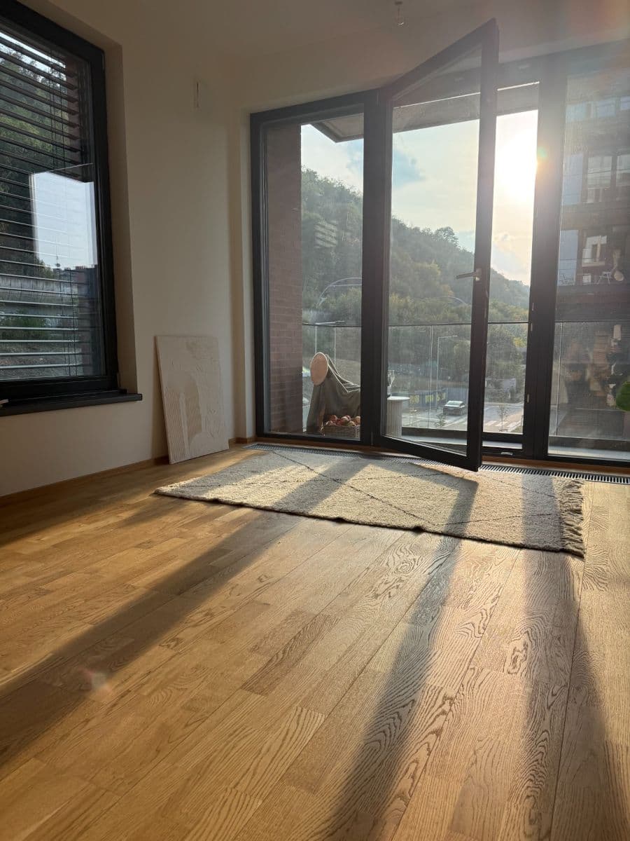 Pronájem bytu 2+kk 51 m², Švarcova, Praha, Praha Pronájem bytu 2+kk 51 m², Švarcova, Praha, Praha