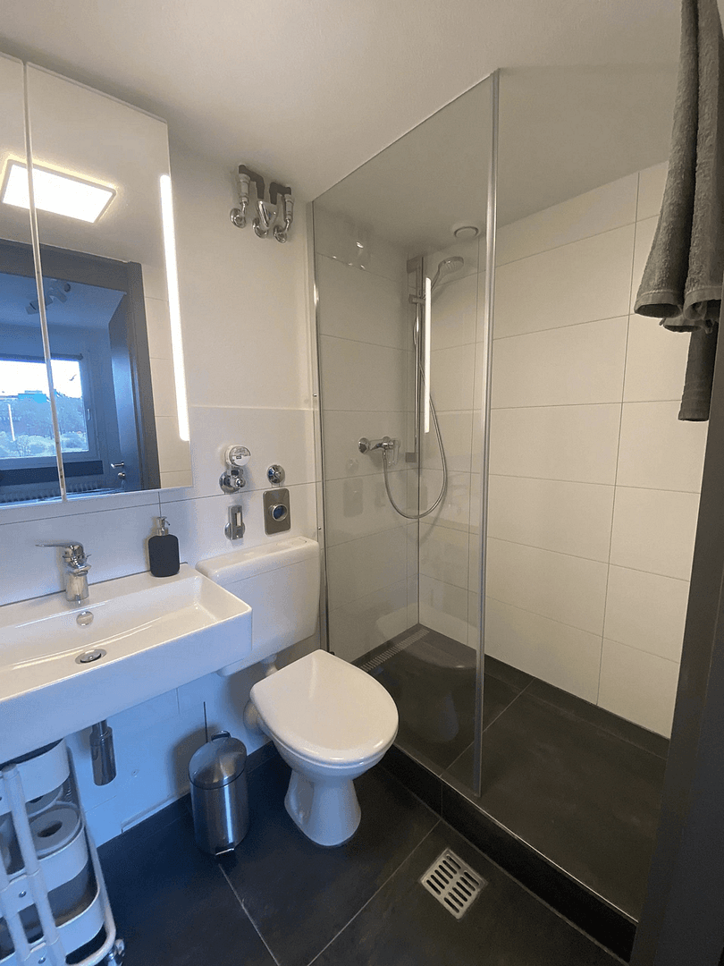 Pronájem bytu 2+1 48 m², Tübingen, Bádensko-Württembersko Pronájem bytu 2+1 48 m², Tübingen, Bádensko-Württembersko