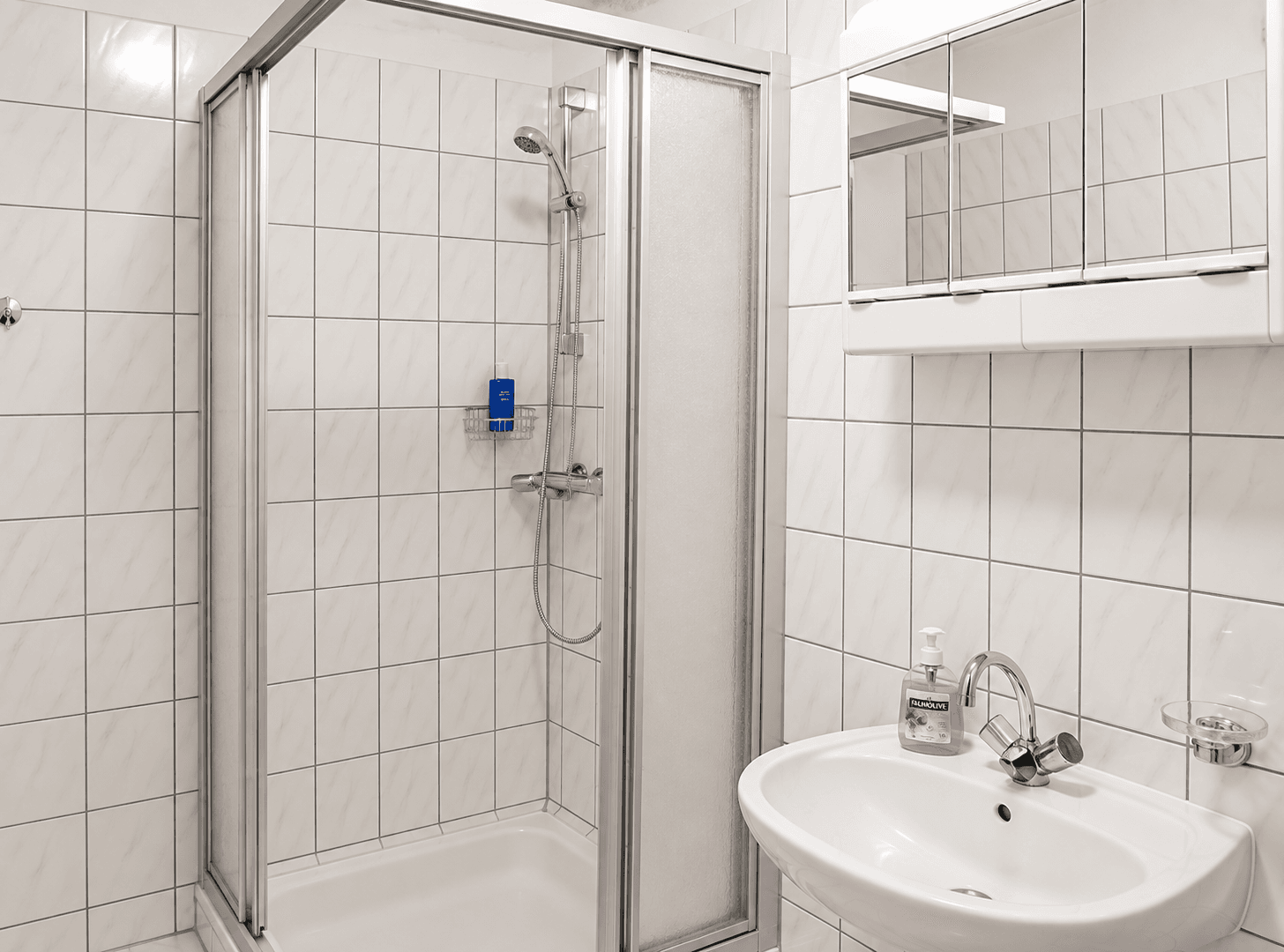 Pronájem bytu 3+1 114 m², Steinbergstr. 3, Leipzig, Leipzig OT Holzhausen, Sasko Pronájem bytu 3+1 114 m², Steinbergstr. 3, Leipzig, Leipzig OT Holzhausen, Sasko