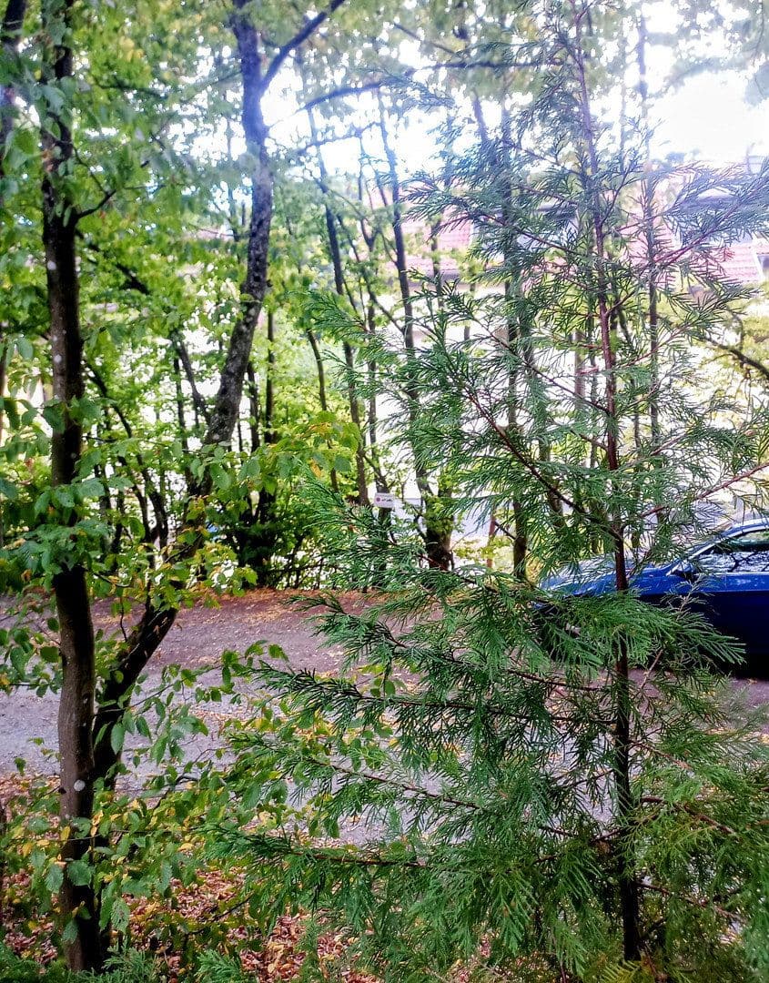 Prodej bytu 2+1 50 m², Oberursel (Taunus), Hessen Prodej bytu 2+1 50 m², Oberursel (Taunus), Hessen
