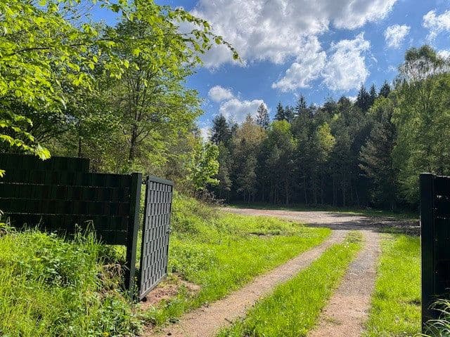 Pronájem pozemku 2.000 m², Rodalben, Porýní-Falc Pronájem pozemku 2.000 m², Rodalben, Porýní-Falc