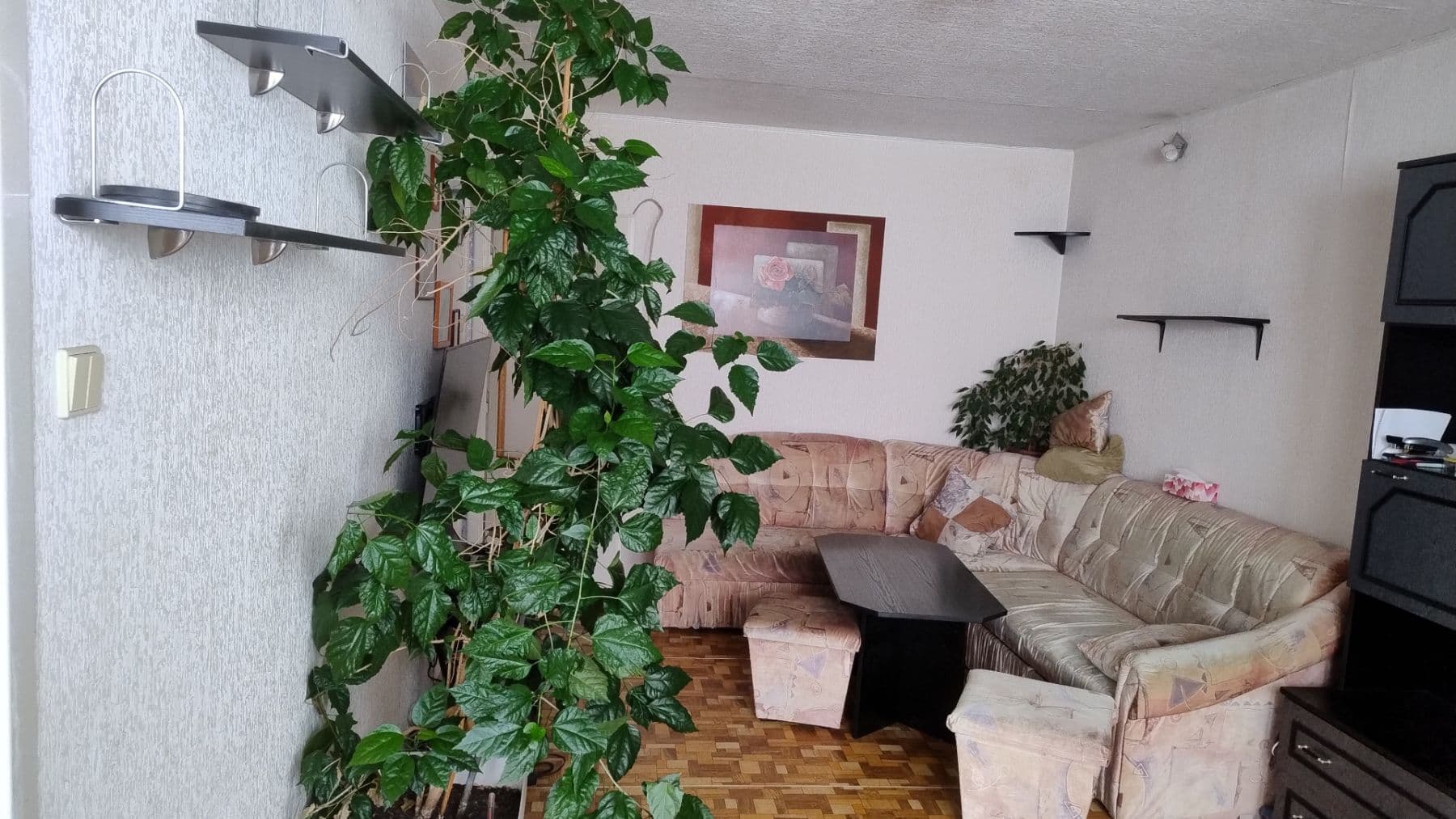 Pronájem bytu 3+1 68 m², Štíbrova, Praha, Praha Pronájem bytu 3+1 68 m², Štíbrova, Praha, Praha