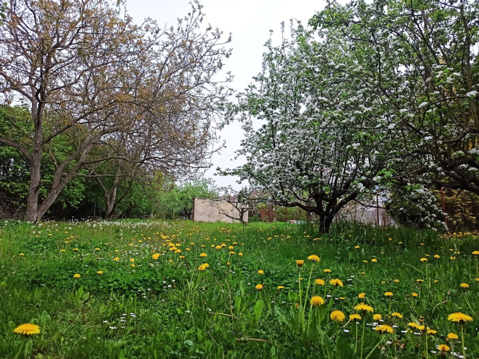 Prodej pozemku 800 m², Prokopa Holého, Hradec Králové, Královéhradecký kraj Prodej pozemku 800 m², Prokopa Holého, Hradec Králové, Královéhradecký kraj
