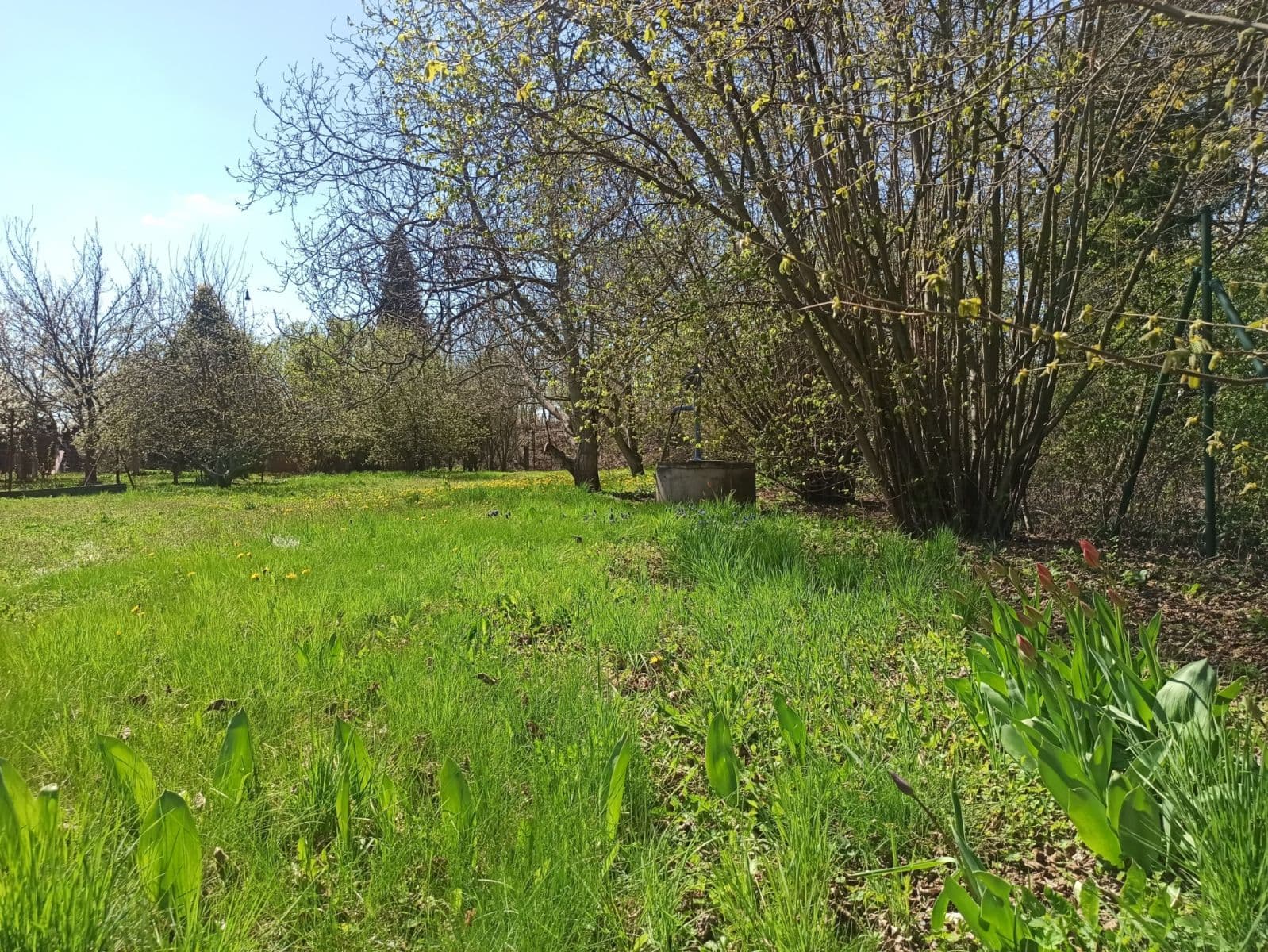 Prodej pozemku 800 m², Prokopa Holého, Hradec Králové, Královéhradecký kraj Prodej pozemku 800 m², Prokopa Holého, Hradec Králové, Královéhradecký kraj