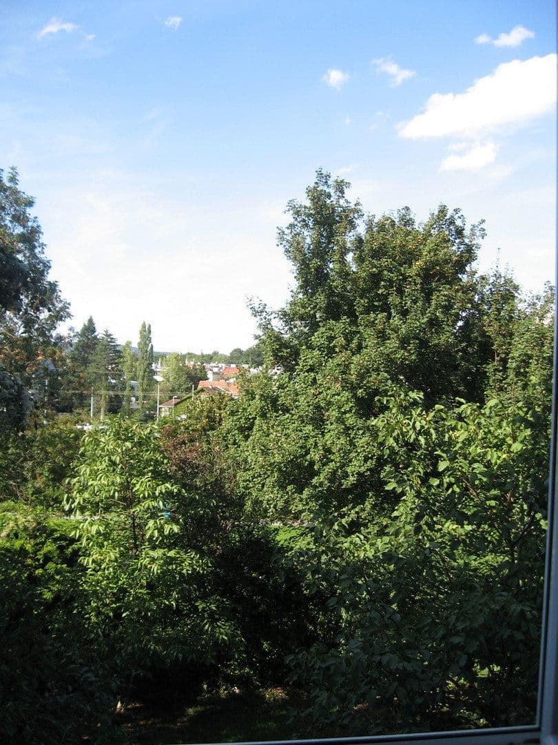 Pronájem bytu 2+1 66 m², Speisingerstraße 11, Wien, Wien Pronájem bytu 2+1 66 m², Speisingerstraße 11, Wien, Wien