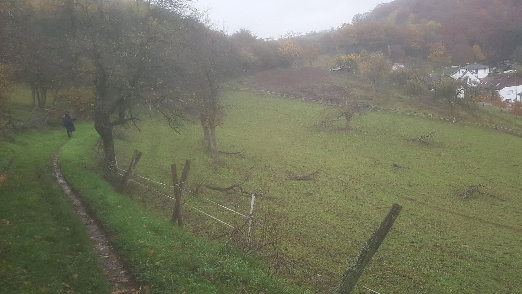 Prodej pozemku 4.701 m², Waldstraße 25 - 27, Ulmet, Porýní-Falc Prodej pozemku 4.701 m², Waldstraße 25 - 27, Ulmet, Porýní-Falc