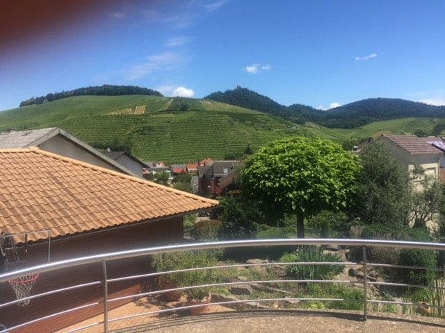 Prodej domu 400 m², pozemek 1.605 m², Baden-Baden, Bádensko-Württembersko Prodej domu 400 m², pozemek 1.605 m², Baden-Baden, Bádensko-Württembersko