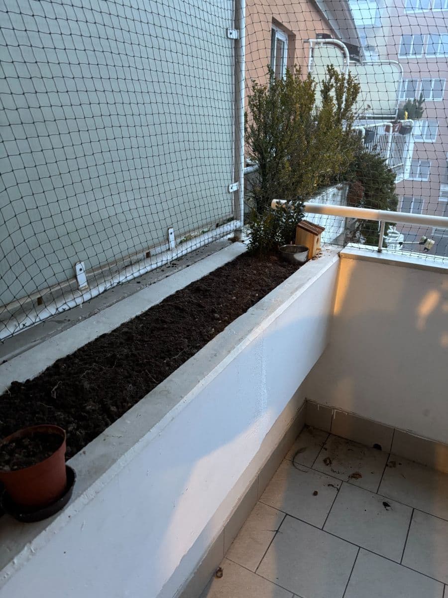 Pronájem bytu 2+kk 72 m², Majdalenky, Brno, Jihomoravský kraj Pronájem bytu 2+kk 72 m², Majdalenky, Brno, Jihomoravský kraj