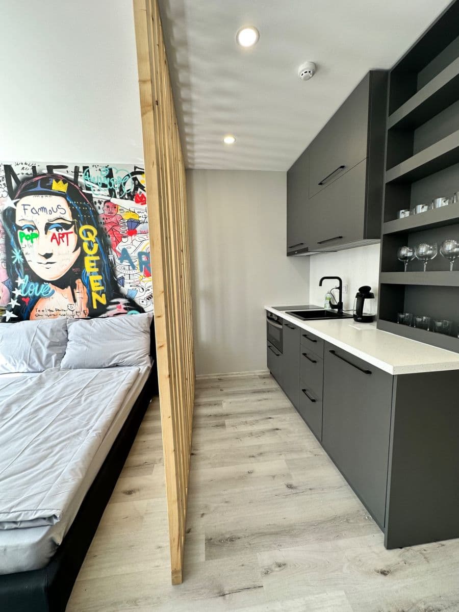 Pronájem bytu 1+kk 24 m², Děčínská, Praha, Praha Pronájem bytu 1+kk 24 m², Děčínská, Praha, Praha