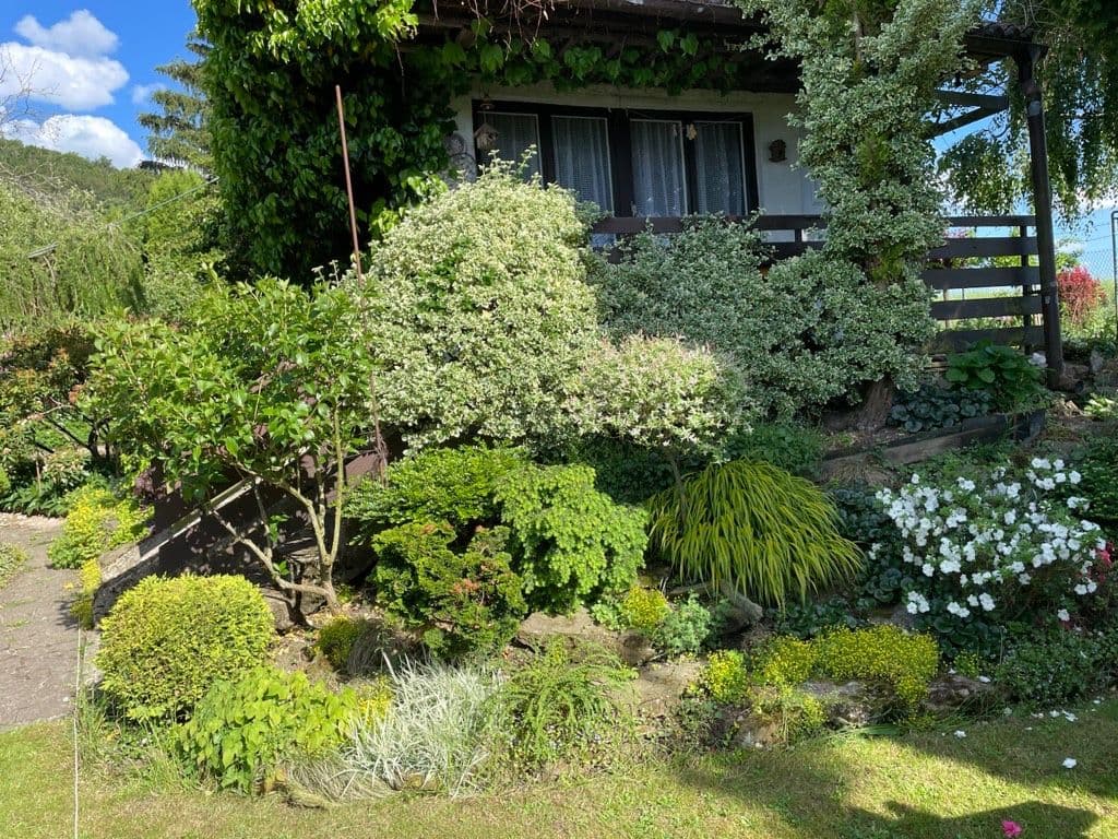 Prodej chaty, chalupy 17 m², pozemek 388 m², Moravská Třebová, Pardubický kraj Prodej chaty, chalupy 17 m², pozemek 388 m², Moravská Třebová, Pardubický kraj