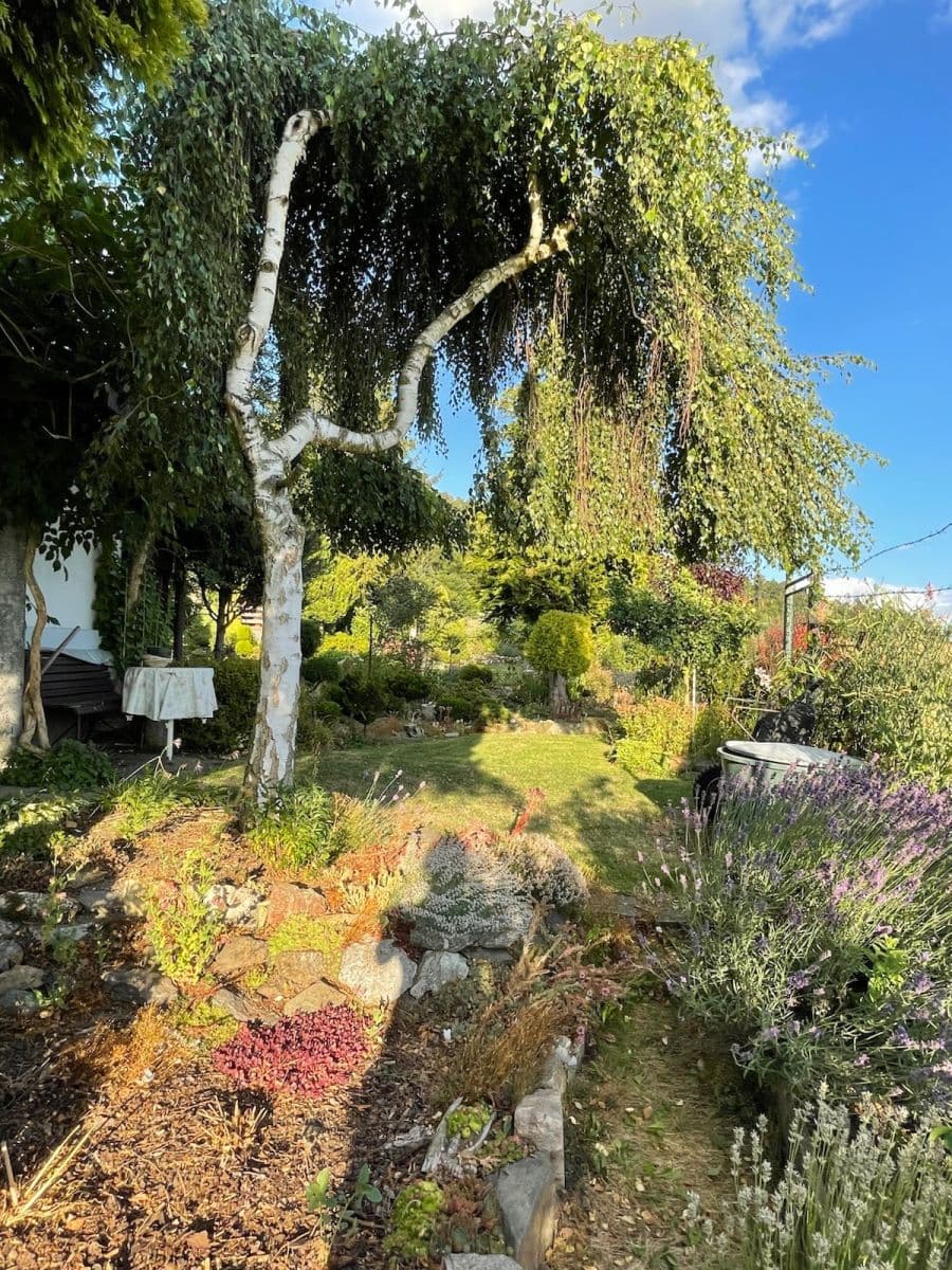Prodej chaty, chalupy 17 m², pozemek 388 m², Moravská Třebová, Pardubický kraj Prodej chaty, chalupy 17 m², pozemek 388 m², Moravská Třebová, Pardubický kraj