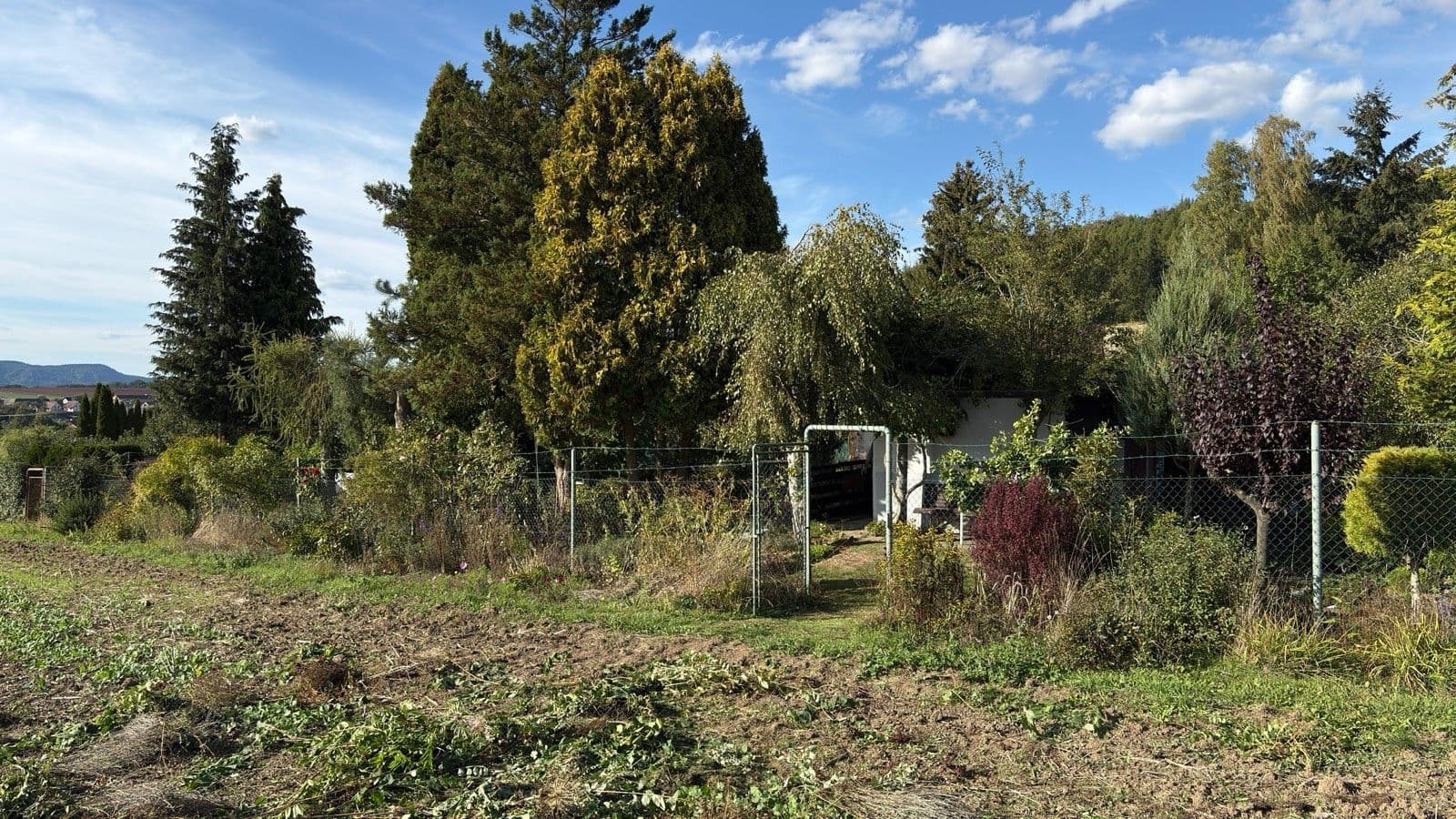 Prodej chaty, chalupy 17 m², pozemek 388 m², Moravská Třebová, Pardubický kraj Prodej chaty, chalupy 17 m², pozemek 388 m², Moravská Třebová, Pardubický kraj