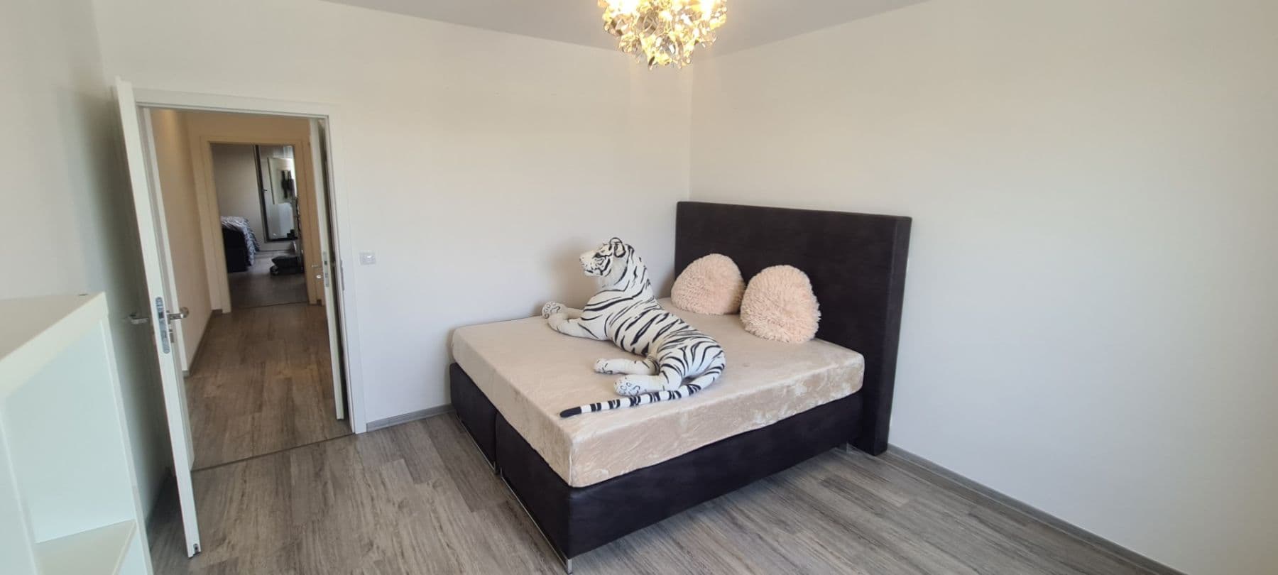 Pronájem bytu 5+kk 122 m², Nad Přehradou, Brno, Jihomoravský kraj Pronájem bytu 5+kk 122 m², Nad Přehradou, Brno, Jihomoravský kraj