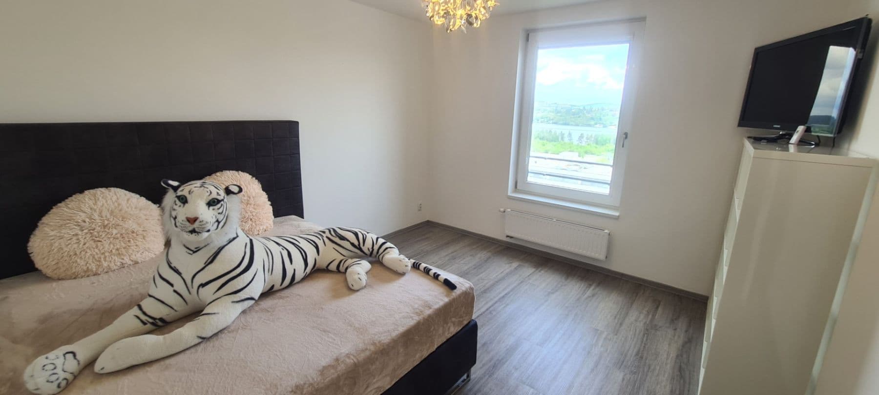 Pronájem bytu 5+kk 122 m², Nad Přehradou, Brno, Jihomoravský kraj Pronájem bytu 5+kk 122 m², Nad Přehradou, Brno, Jihomoravský kraj