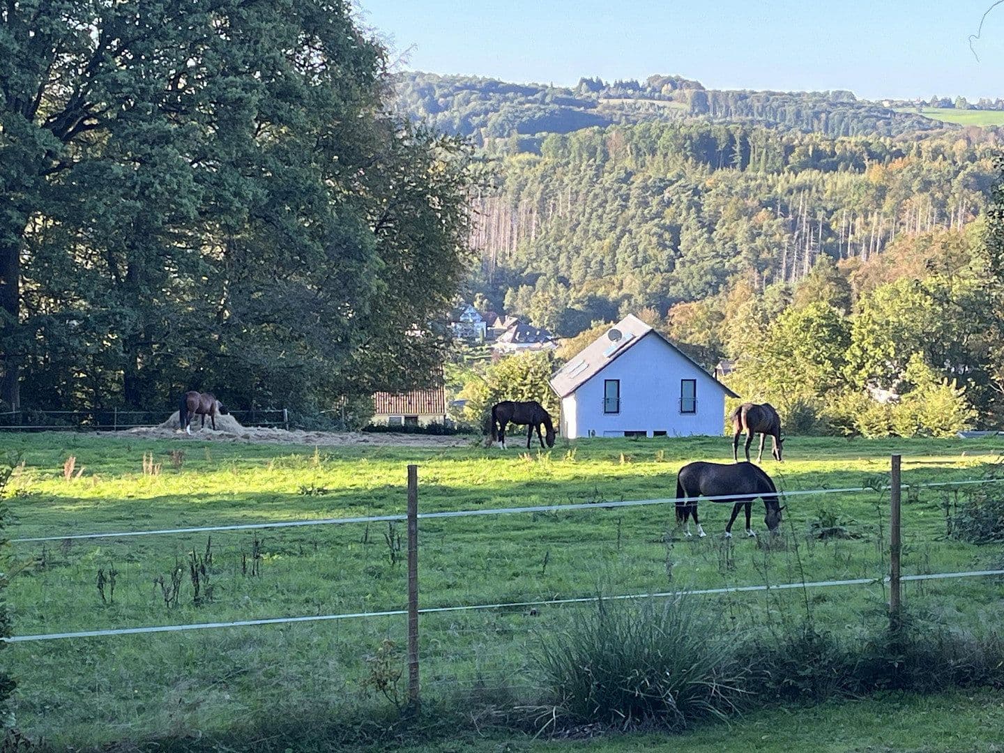 Prodej domu 350 m², pozemek 2.540 m², Overath, Severní Porýní-Vestfálsko Prodej domu 350 m², pozemek 2.540 m², Overath, Severní Porýní-Vestfálsko