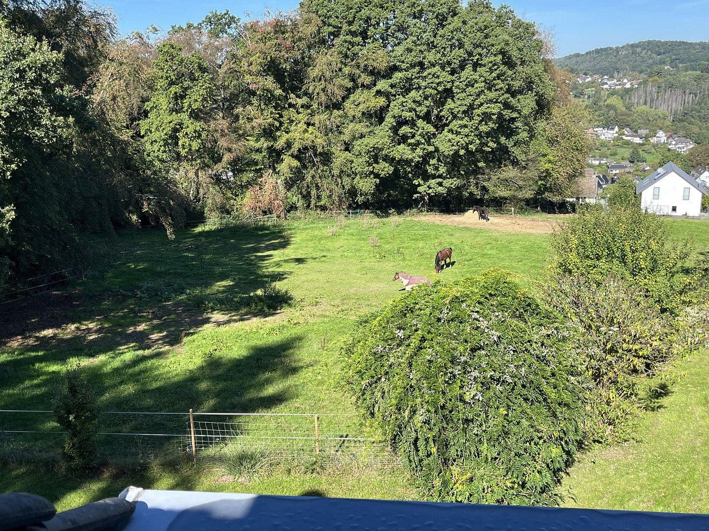 Prodej domu 350 m², pozemek 2.540 m², Overath, Severní Porýní-Vestfálsko Prodej domu 350 m², pozemek 2.540 m², Overath, Severní Porýní-Vestfálsko