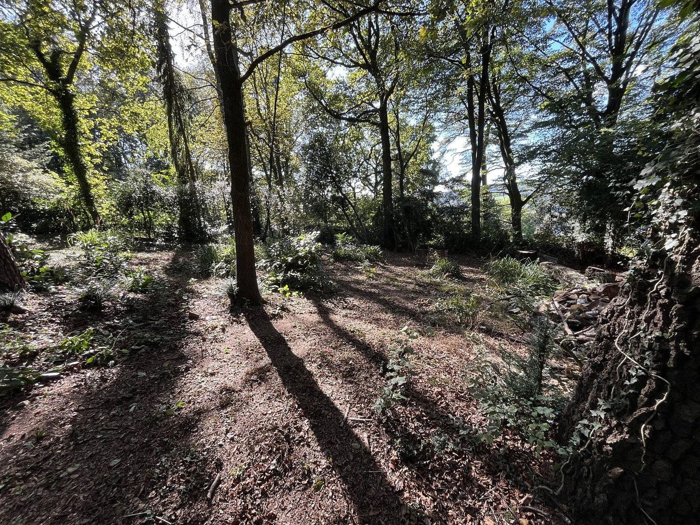 Prodej domu 350 m², pozemek 2.540 m², Overath, Severní Porýní-Vestfálsko Prodej domu 350 m², pozemek 2.540 m², Overath, Severní Porýní-Vestfálsko
