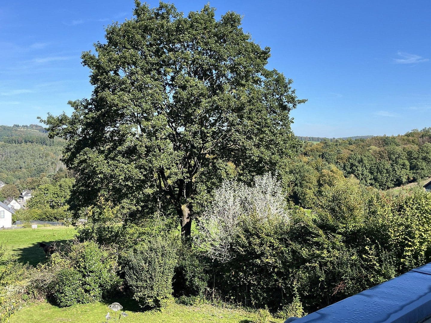 Prodej domu 350 m², pozemek 2.540 m², Overath, Severní Porýní-Vestfálsko Prodej domu 350 m², pozemek 2.540 m², Overath, Severní Porýní-Vestfálsko