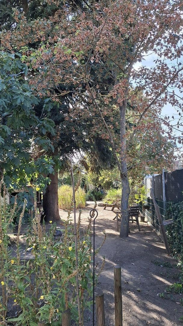 Prodej domu 456 m², pozemek 880 m², Lambsheim, Porýní-Falc Prodej domu 456 m², pozemek 880 m², Lambsheim, Porýní-Falc
