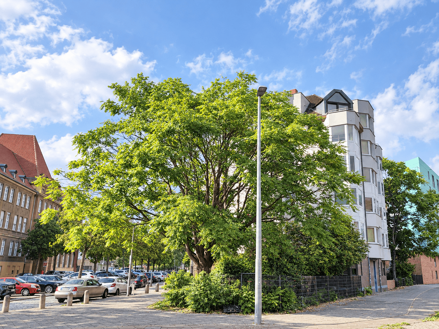 Prodej bytu 3+1 92 m², Münsinger Straße 4, Berlin, Berlín Prodej bytu 3+1 92 m², Münsinger Straße 4, Berlin, Berlín