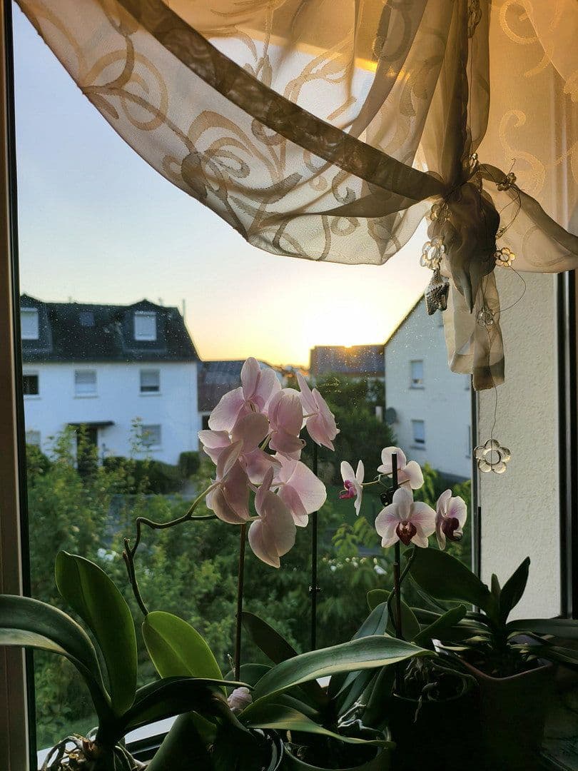Prodej domu 150 m², pozemek 656 m², Offenbach Rumpenheim, Hessen Prodej domu 150 m², pozemek 656 m², Offenbach Rumpenheim, Hessen