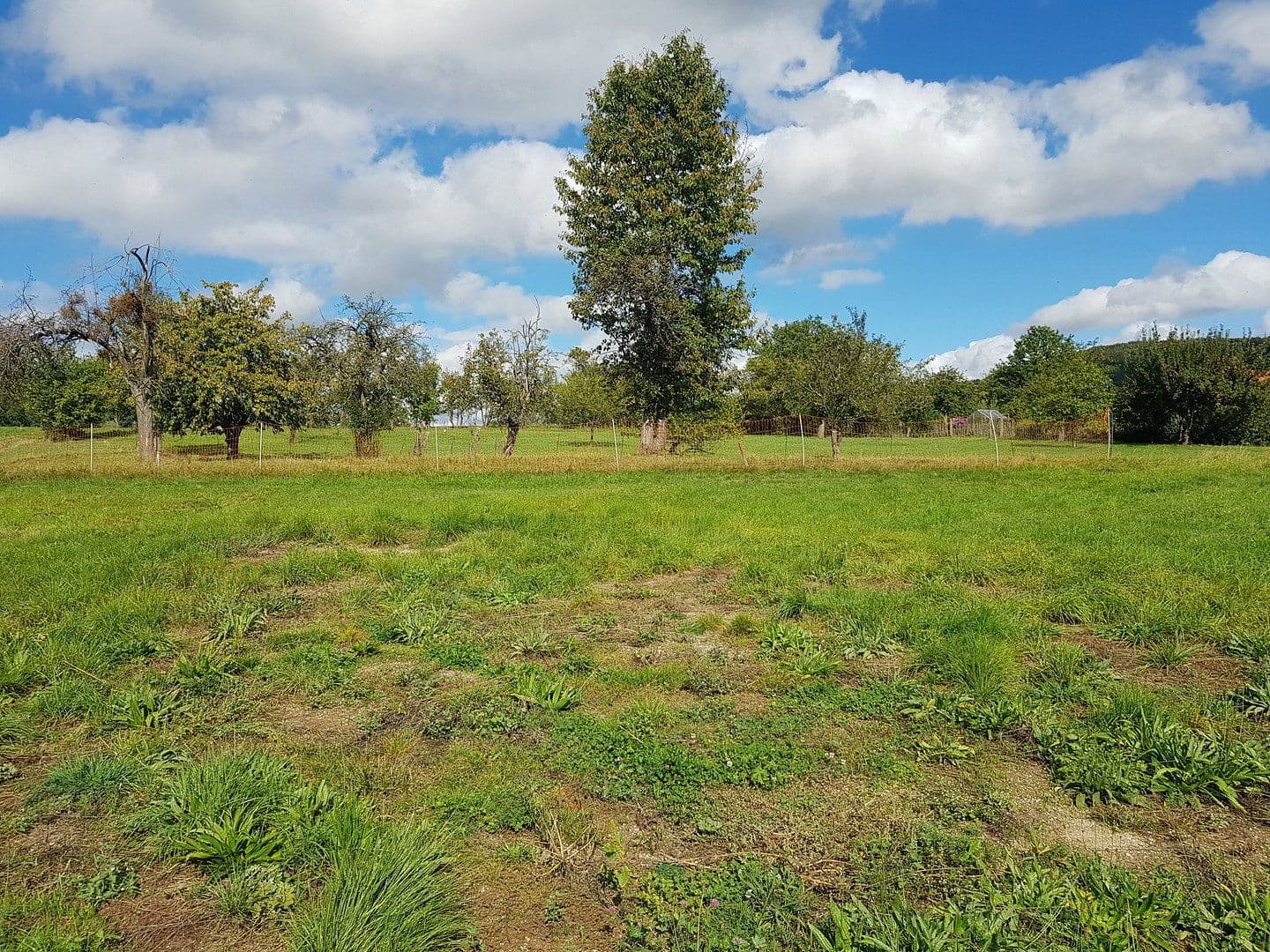Prodej pozemku 650 m², Plech, Bavorsko Prodej pozemku 650 m², Plech, Bavorsko