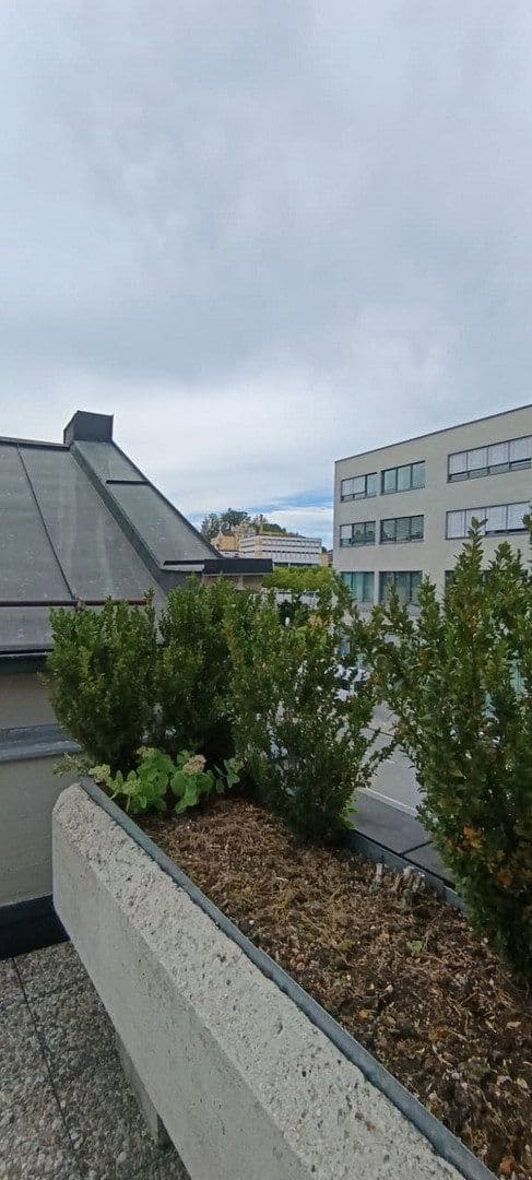 Pronájem bytu 4+1 125 m², Kleiner Exerzierplatz 4, Passau, Bavorsko Pronájem bytu 4+1 125 m², Kleiner Exerzierplatz 4, Passau, Bavorsko