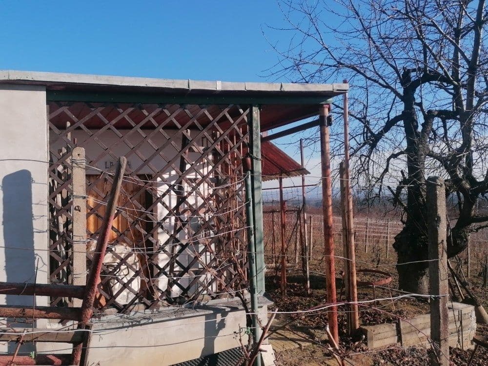Prodej pozemku 2.596 m², Bzenec, Jihomoravský kraj Prodej pozemku 2.596 m², Bzenec, Jihomoravský kraj