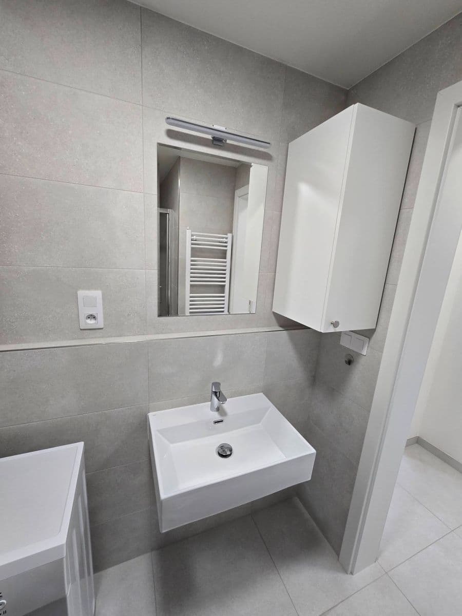 Pronájem bytu 1+kk 26 m², Za Novákovou zahradou, Praha, Praha Pronájem bytu 1+kk 26 m², Za Novákovou zahradou, Praha, Praha