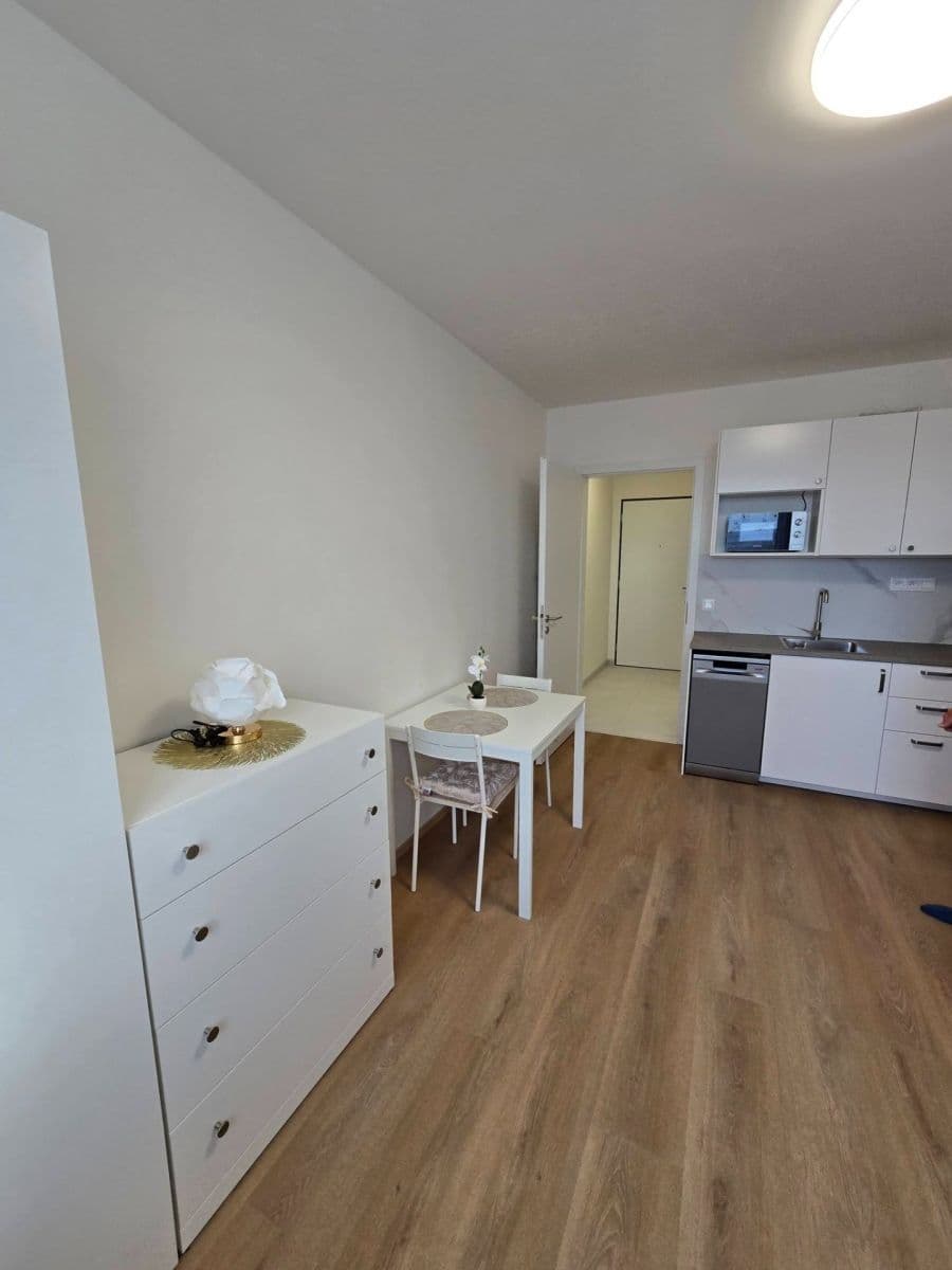 Pronájem bytu 1+kk 26 m², Za Novákovou zahradou, Praha, Praha Pronájem bytu 1+kk 26 m², Za Novákovou zahradou, Praha, Praha