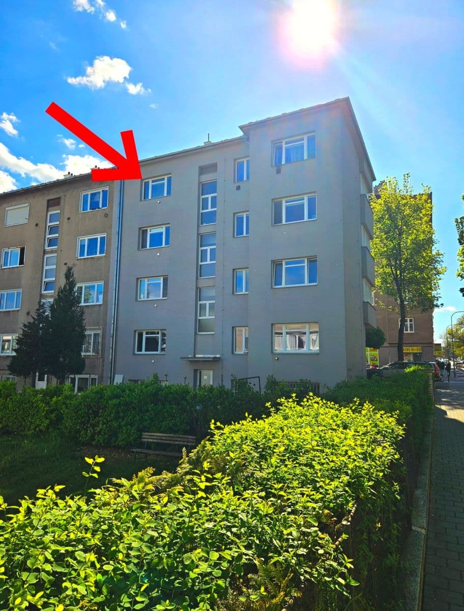 Pronájem bytu 1+kk 26 m², Rybníček, Brno, Jihomoravský kraj Pronájem bytu 1+kk 26 m², Rybníček, Brno, Jihomoravský kraj