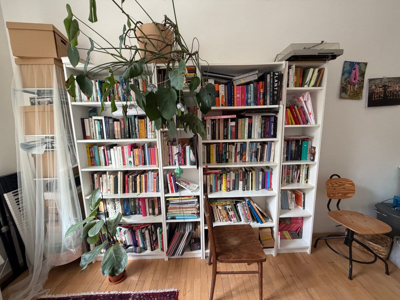 Pronájem bytu 2+1 55 m², Čechova, Praha, Praha Pronájem bytu 2+1 55 m², Čechova, Praha, Praha