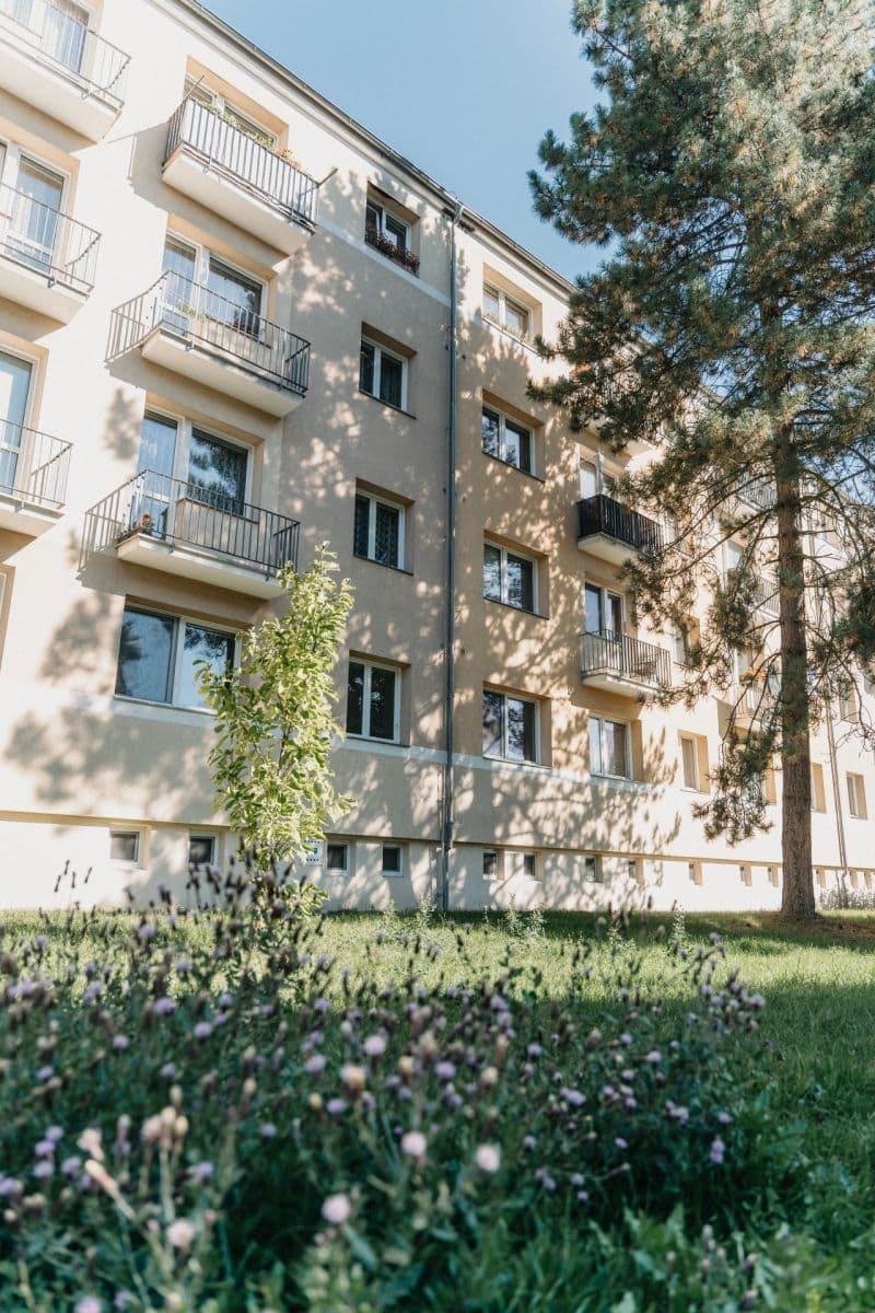 Prodej bytu 3+kk 58 m², Riegrova, Svitavy, Pardubický kraj Prodej bytu 3+kk 58 m², Riegrova, Svitavy, Pardubický kraj