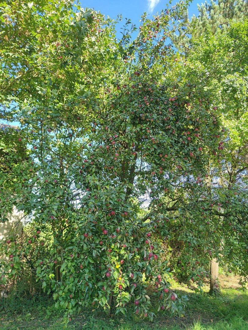 Prodej domu 316 m², pozemek 2.885 m², Duingen, Dolní Sasko Prodej domu 316 m², pozemek 2.885 m², Duingen, Dolní Sasko