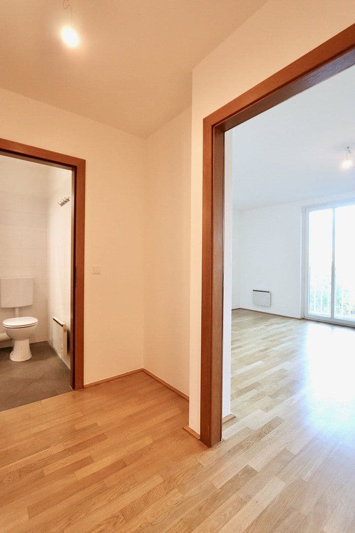 Pronájem bytu 1+1 33 m², Spittelauer Lände 9, Wien, Wien Pronájem bytu 1+1 33 m², Spittelauer Lände 9, Wien, Wien