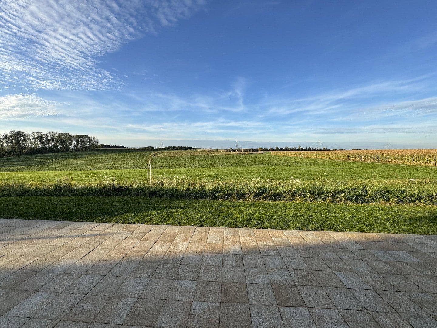 Prodej domu 227 m², pozemek 639 m², Laupheim, Bádensko-Württembersko Prodej domu 227 m², pozemek 639 m², Laupheim, Bádensko-Württembersko