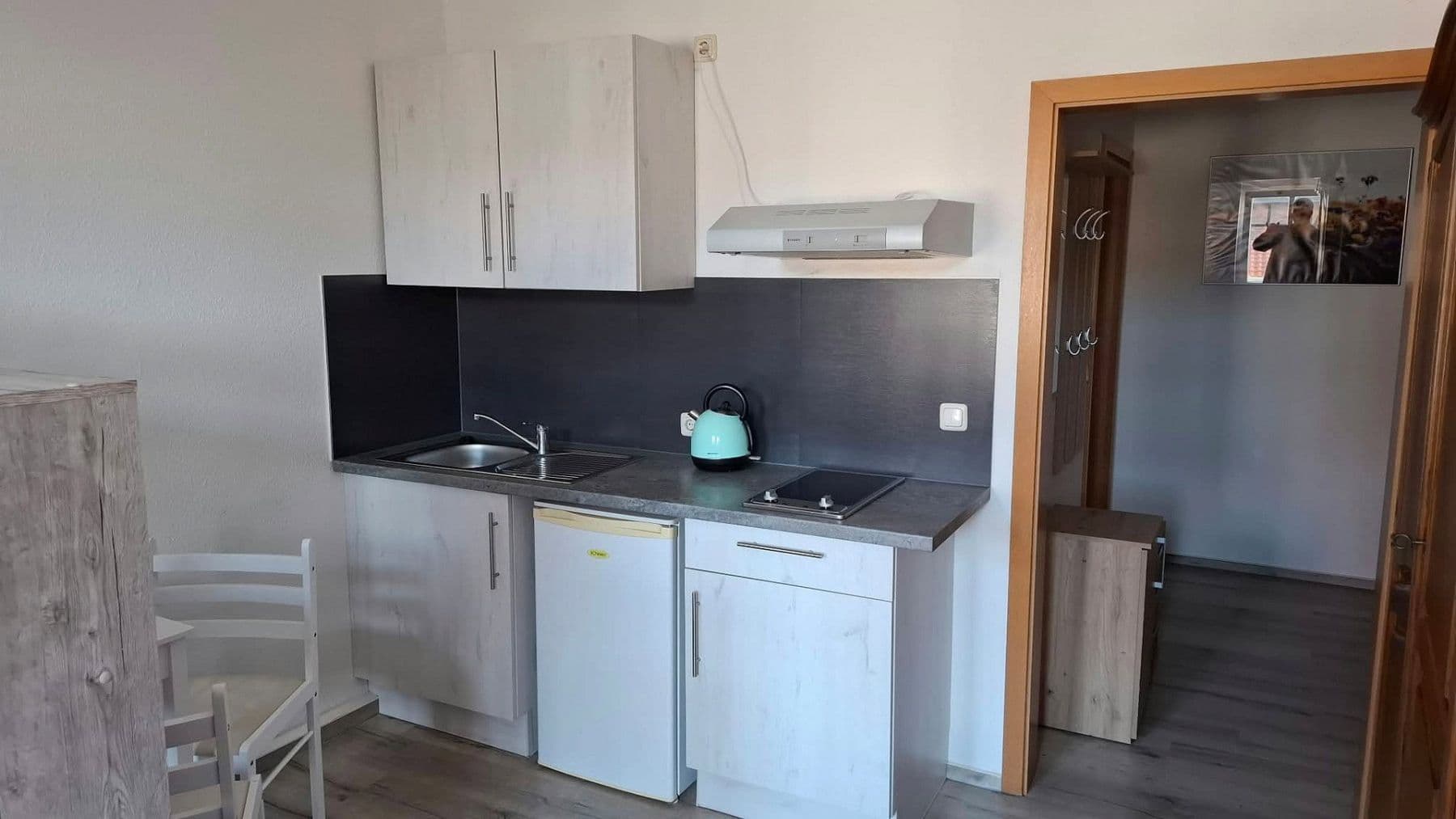 Pronájem bytu 1+1 25 m², Rudolstädter Str. 114, Erfurt, Durynsko Pronájem bytu 1+1 25 m², Rudolstädter Str. 114, Erfurt, Durynsko