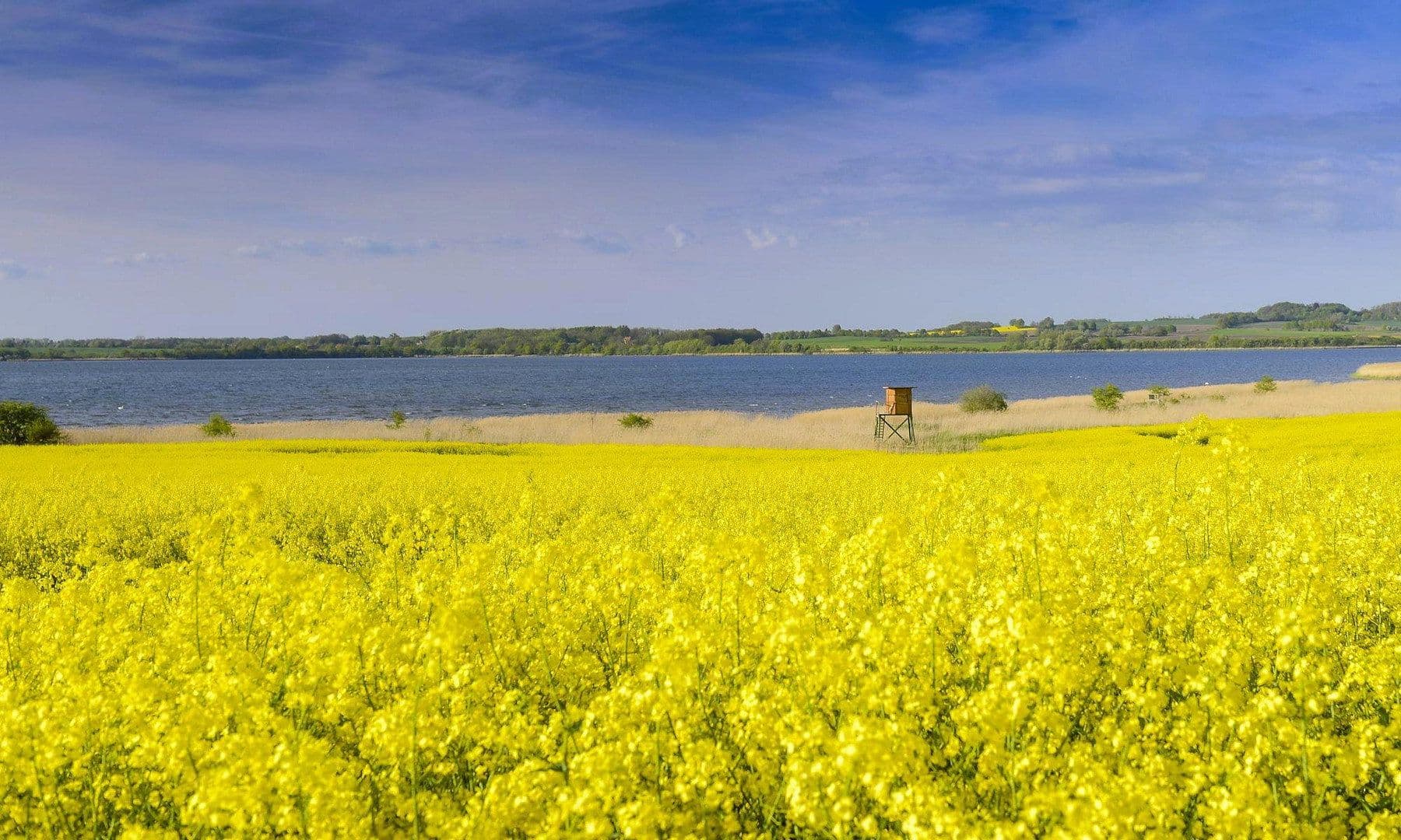 Prodej domu 285 m², pozemek 7.130 m², Dassow, Mecklenburg-Vorpommern Prodej domu 285 m², pozemek 7.130 m², Dassow, Mecklenburg-Vorpommern