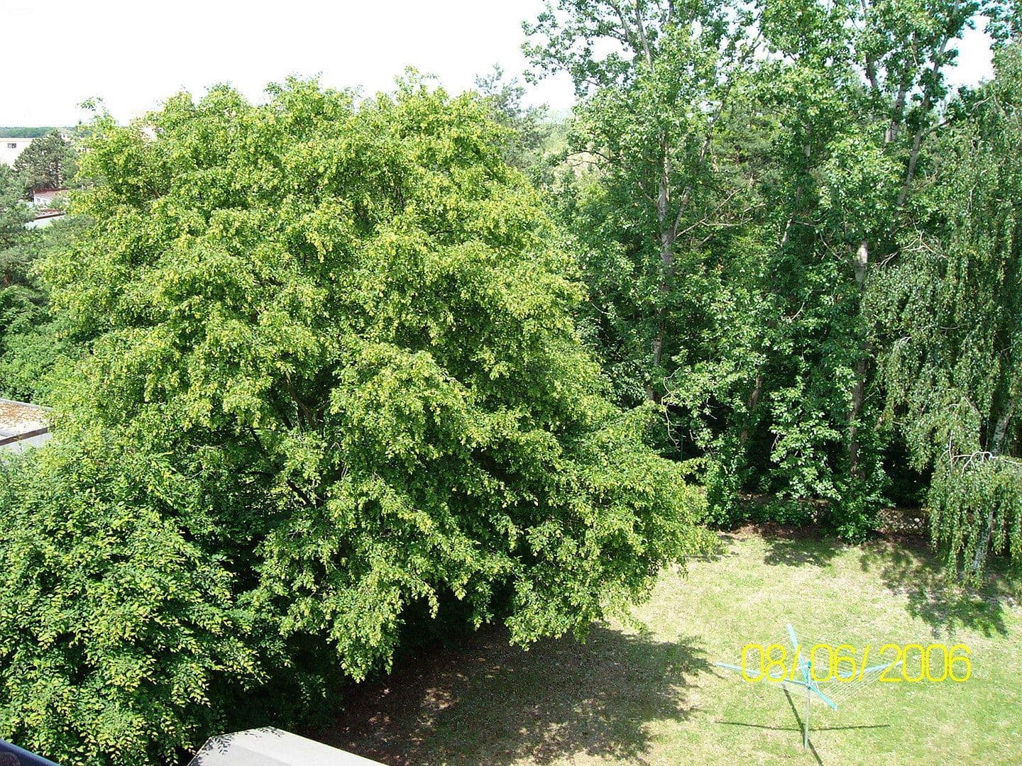Pronájem bytu 1+1 22 m², Rodgau, Hessen Pronájem bytu 1+1 22 m², Rodgau, Hessen