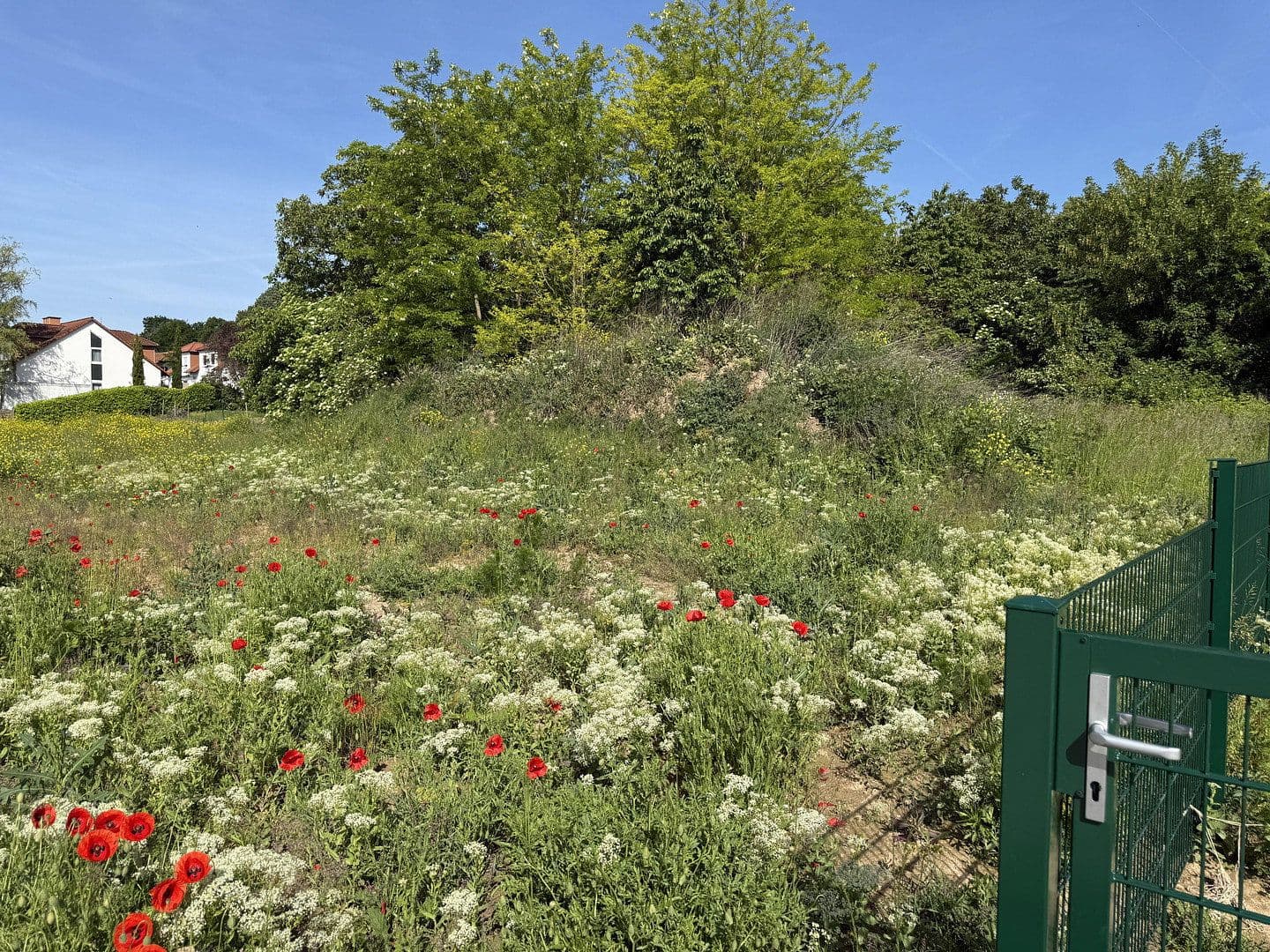 Prodej domu 128 m², pozemek 240 m², Am Kapellenberg 5-8, Saulheim, Porýní-Falc Prodej domu 128 m², pozemek 240 m², Am Kapellenberg 5-8, Saulheim, Porýní-Falc